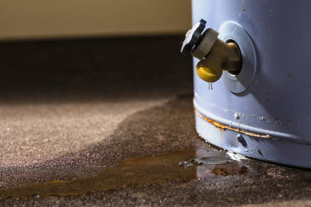 Best Residential water damage restoration  in Wailuku, HI