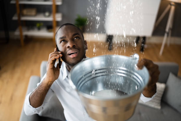 Best Local water damage restoration  in Wailuku, HI