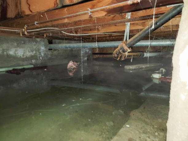 Best 24-hour water damage restoration  in Wailuku, HI