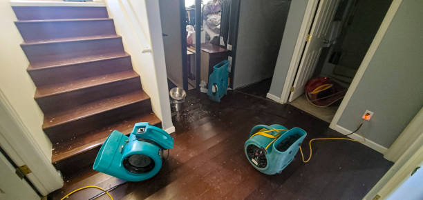 Best 24/7 water damage repair  in Wailuku, HI
