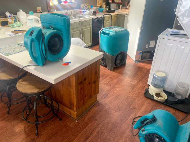 Best Sewage cleanup and water damage restoration  in Wailuku, HI