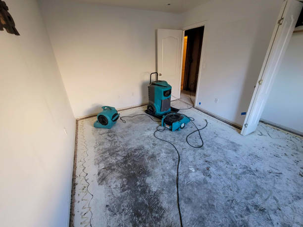 Best Mold removal after water damage  in Wailuku, HI