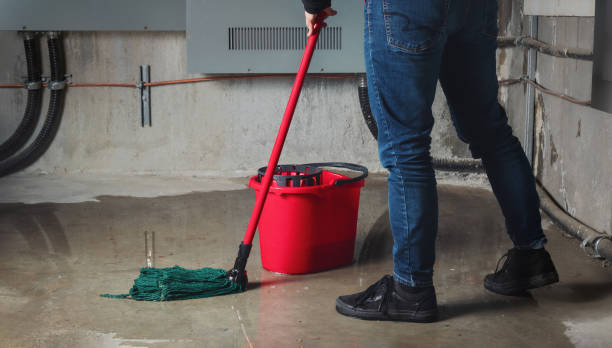 Best Basement water damage restoration  in Wailuku, HI