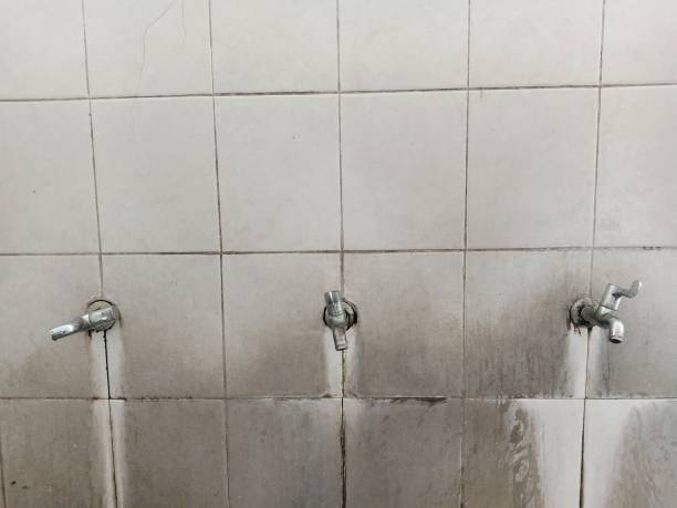 Best 24/7 water damage repair  in Wailuku, HI