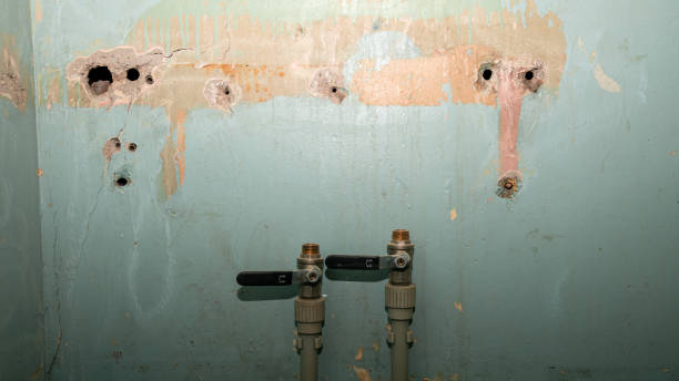 Best Professional water damage repair  in Wailuku, HI