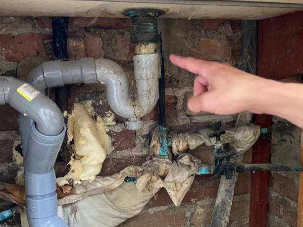 Best Water damage restoration near me  in Wailuku, HI