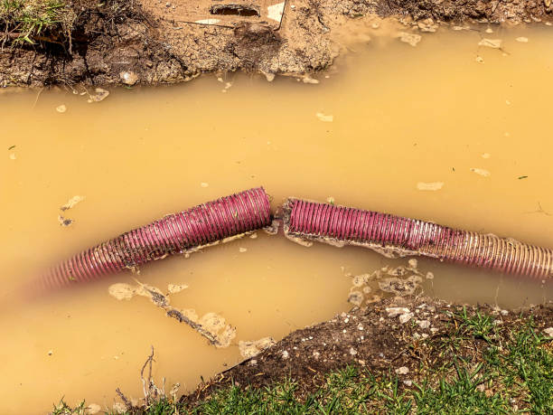 Local water damage restoration in Wailuku, HI
