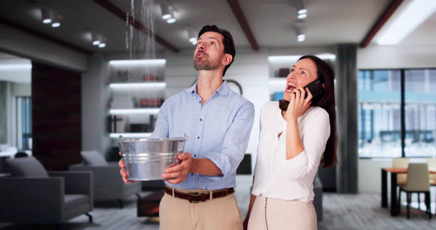 Best Commercial water damage restoration  in Wailuku, HI