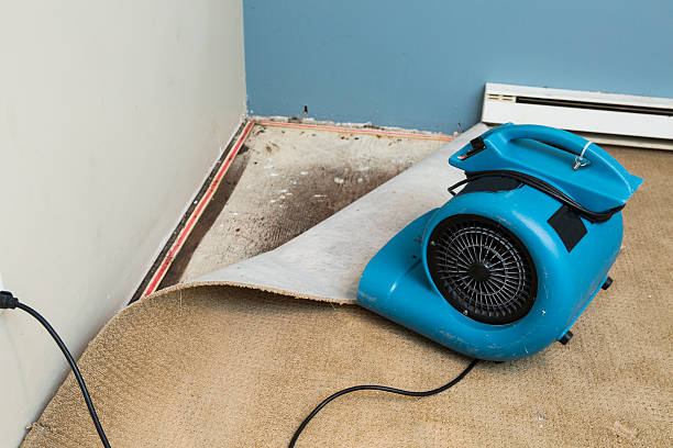 Wailuku, HI Water damage restoration Company